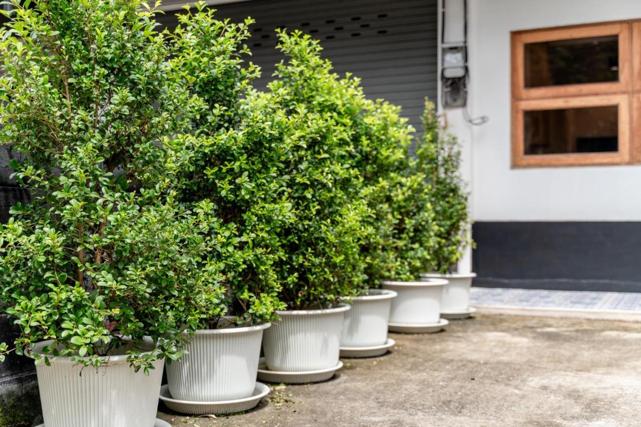 Socialer Coliving & Coworking Space Chiang Mai Ngoại thất bức ảnh
